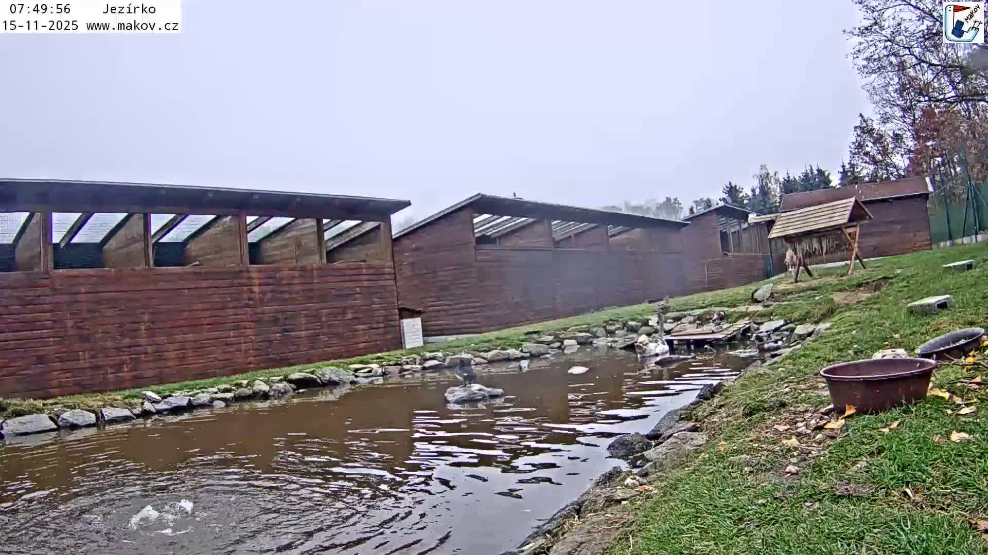 Pisek, Makov Animal Rescue Station Lake Live Cam - Cizova, Pisek, Juhočeský Kraj (South Bohemian), Czechia