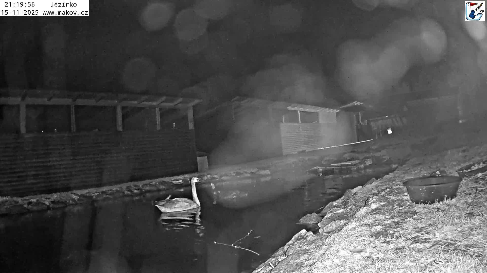 Pisek, Makov Animal Rescue Station Lake Live Cam - Cizova, Pisek, Juhočeský Kraj (South Bohemian), Czechia