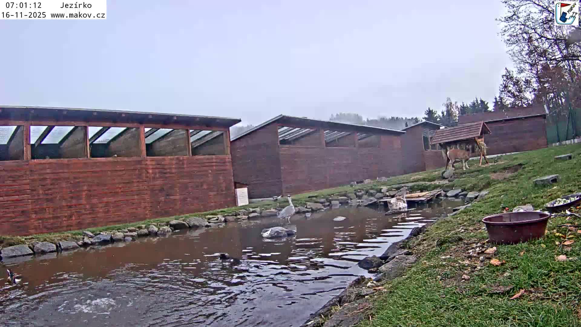 Pisek, Makov Animal Rescue Station Lake Live Cam - Cizova, Pisek, Juhočeský Kraj (South Bohemian), Czechia