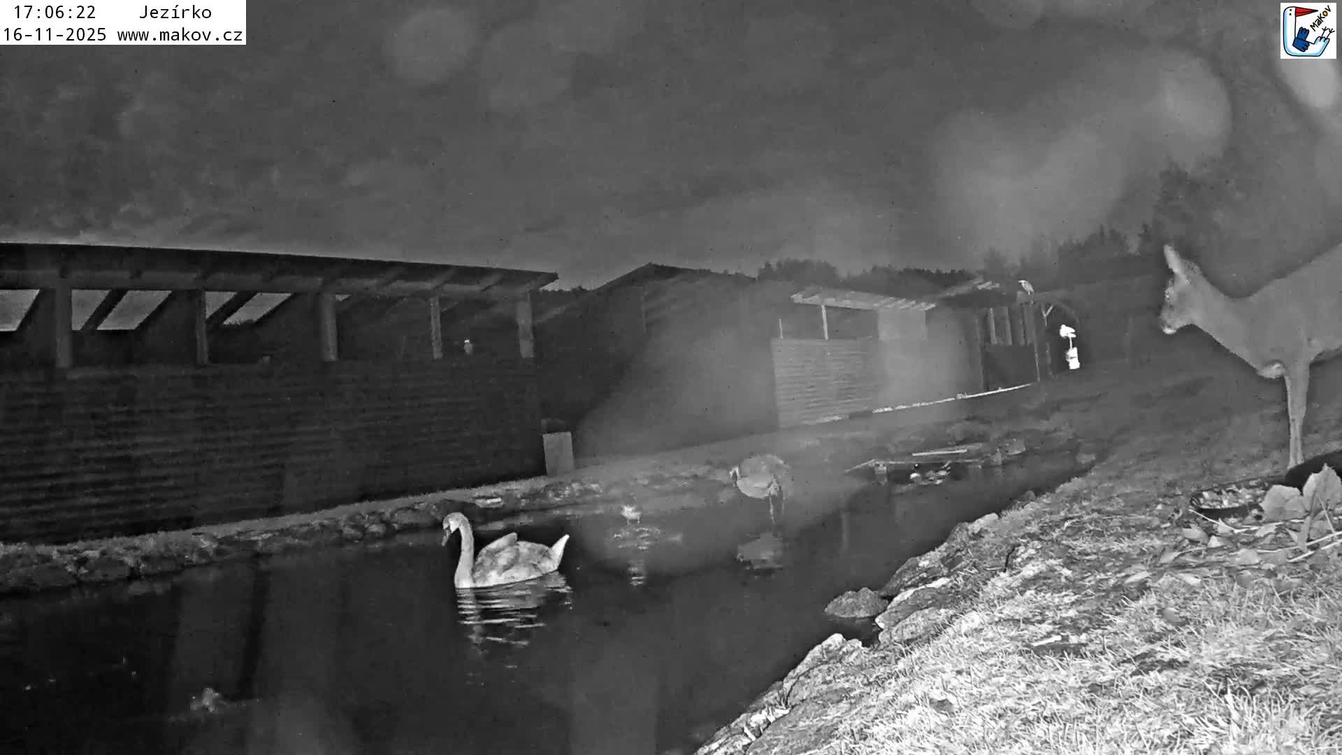 Pisek, Makov Animal Rescue Station Lake Live Cam - Cizova, Pisek, Juhočeský Kraj (South Bohemian), Czechia