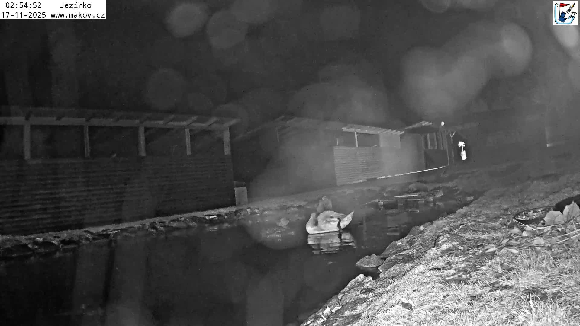 Pisek, Makov Animal Rescue Station Lake Live Cam - Cizova, Pisek, Juhočeský Kraj (South Bohemian), Czechia