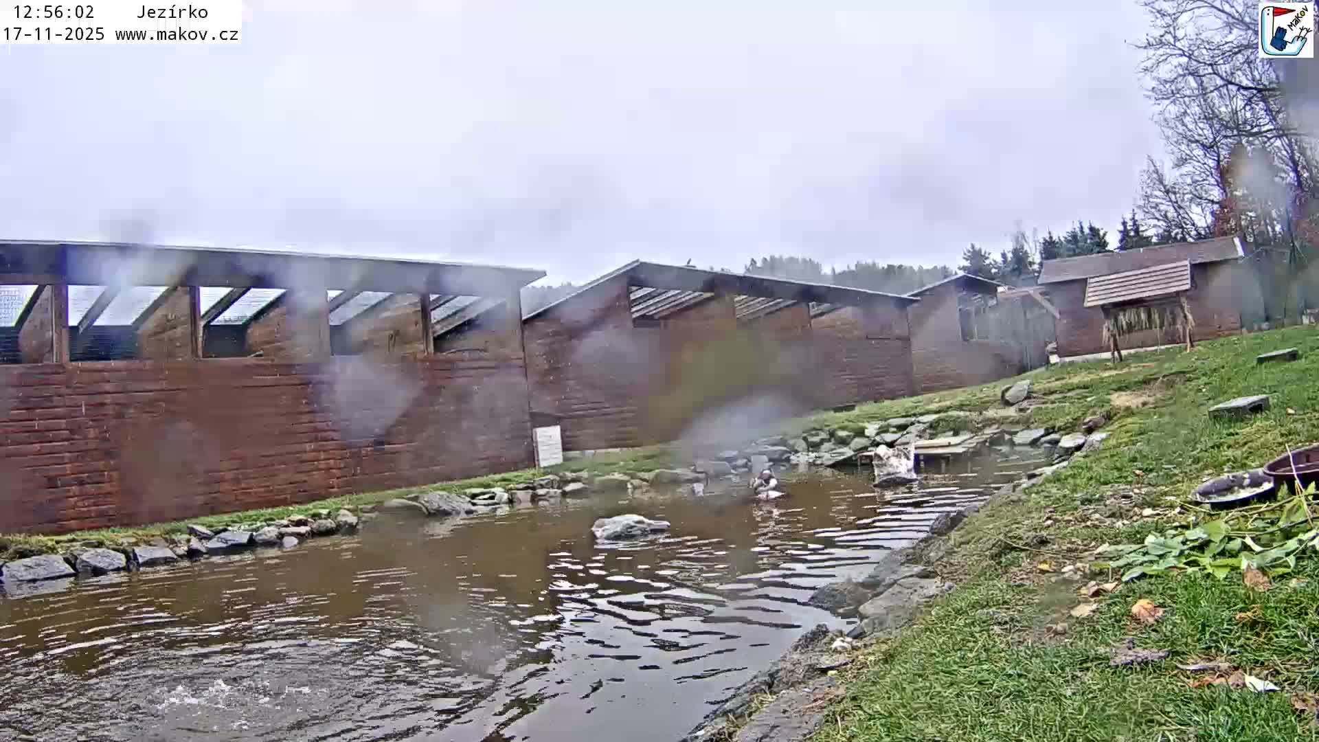Pisek, Makov Animal Rescue Station Lake Live Cam - Cizova, Pisek, Juhočeský Kraj (South Bohemian), Czechia