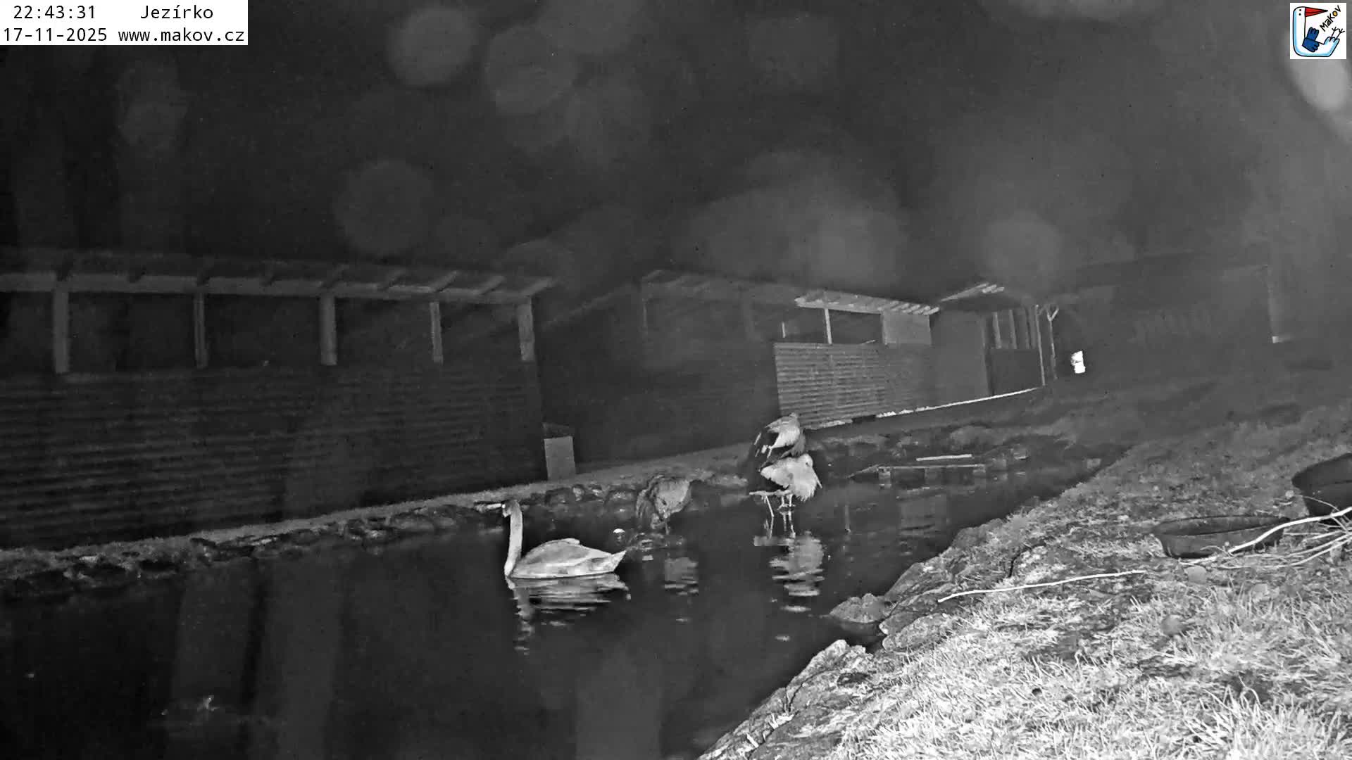 Pisek, Makov Animal Rescue Station Lake Live Cam - Cizova, Pisek, Juhočeský Kraj (South Bohemian), Czechia