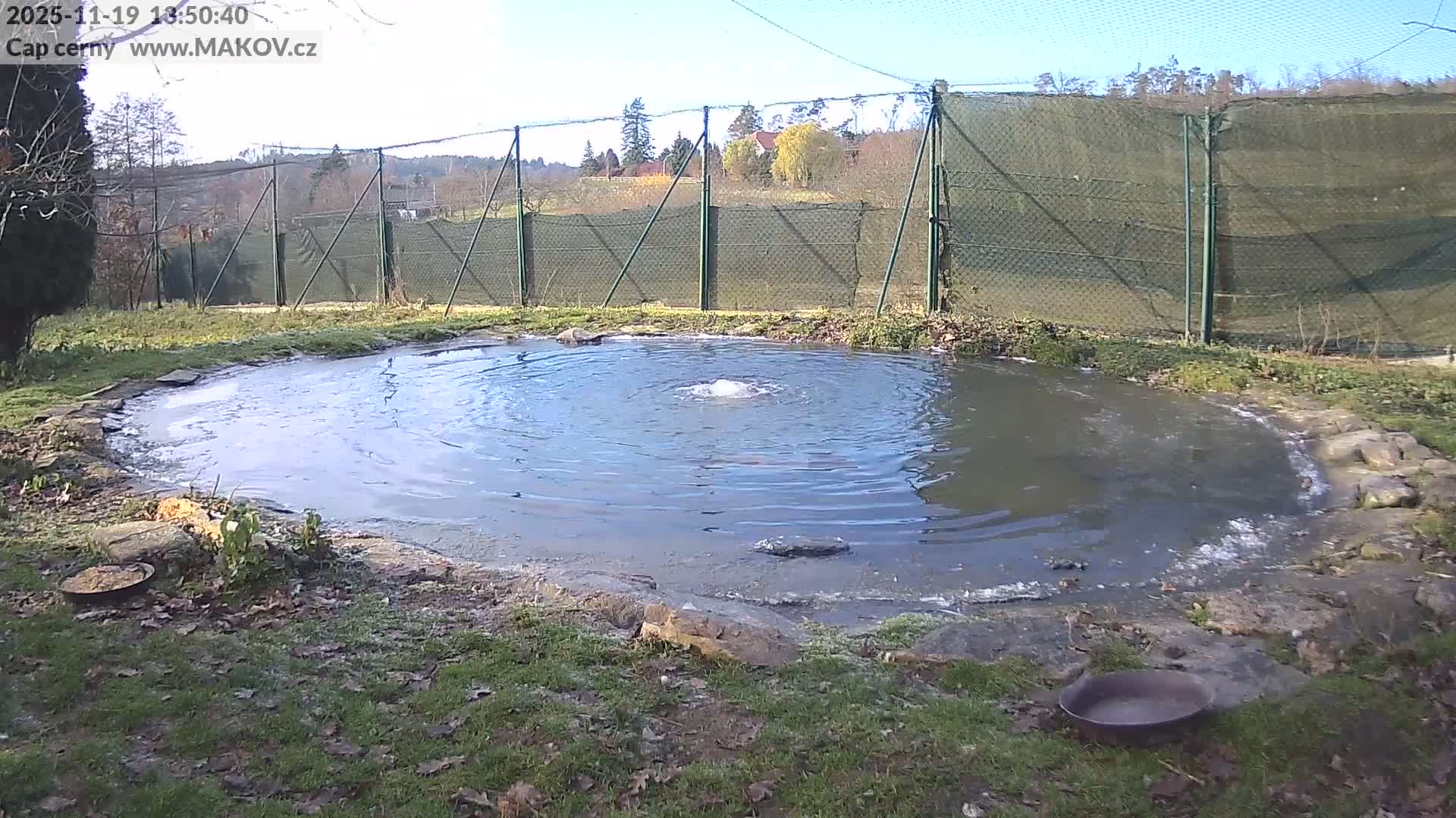 Pisek, Makov Animal Rescue Station Lake Live Cam - Cizova, Pisek, Juhočeský Kraj (South Bohemian), Czechia