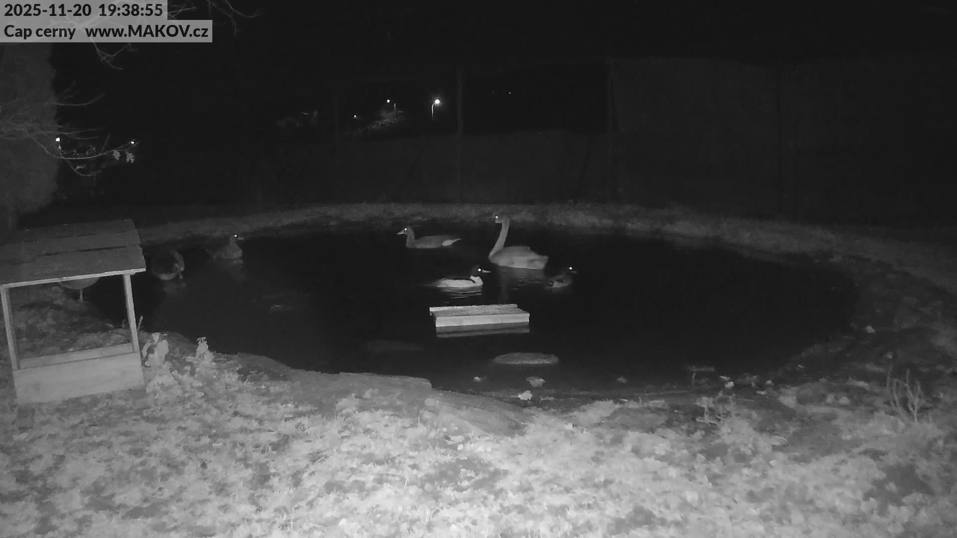 Pisek, Makov Animal Rescue Station Lake Live Cam - Cizova, Pisek, Juhočeský Kraj (South Bohemian), Czechia