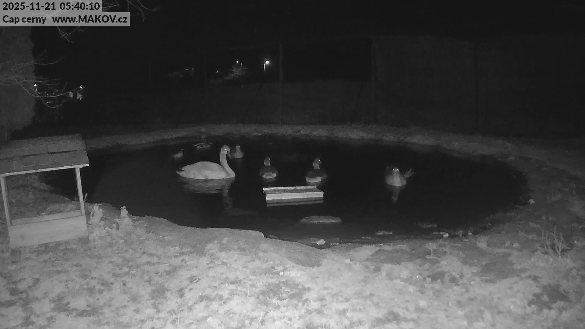 Pisek, Makov Animal Rescue Station Lake Live Cam - Cizova, Pisek, Juhočeský Kraj (South Bohemian), Czechia