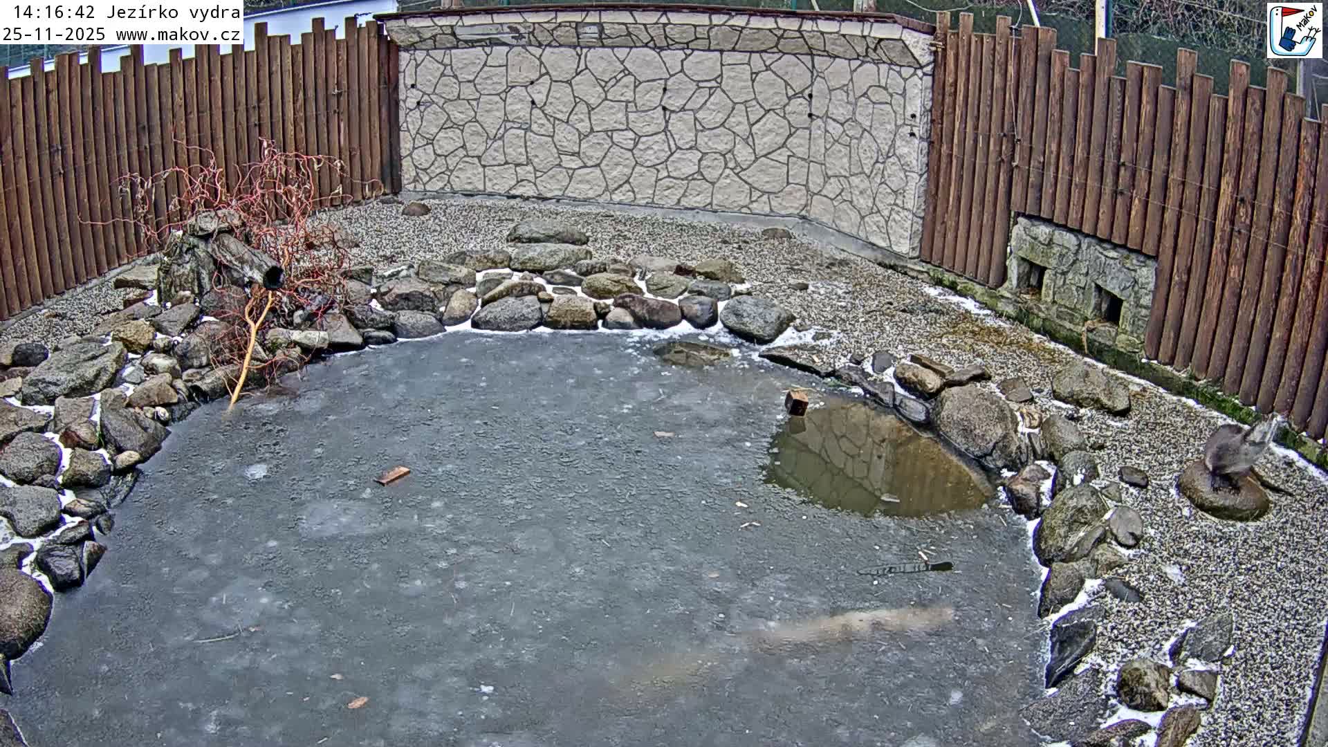 Pisek, Makov Animal Rescue Station Lake Live Cam - Cizova, Pisek, Juhočeský Kraj (South Bohemian), Czechia