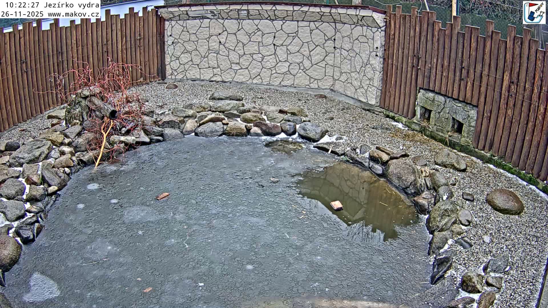 An aerial view captures a partially frozen pond surrounded by rocks, gravel, a bare-branched red shrub, wooden fencing, and a stone wall under overcast winter conditions.