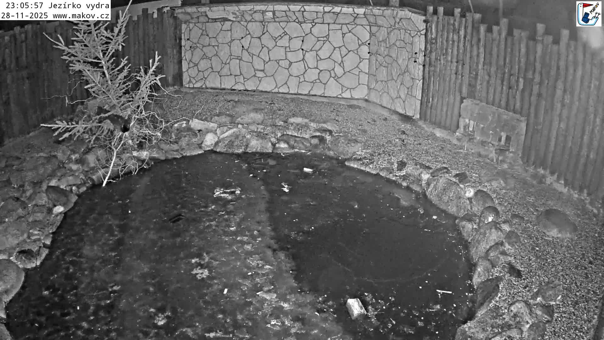 A black and white night vision image reveals an outdoor pond, partially covered in ice due to cold, clear night conditions, bordered by rocks and gravel, with a stone wall and wooden fence in the background, where a small animal is visible near the fence.