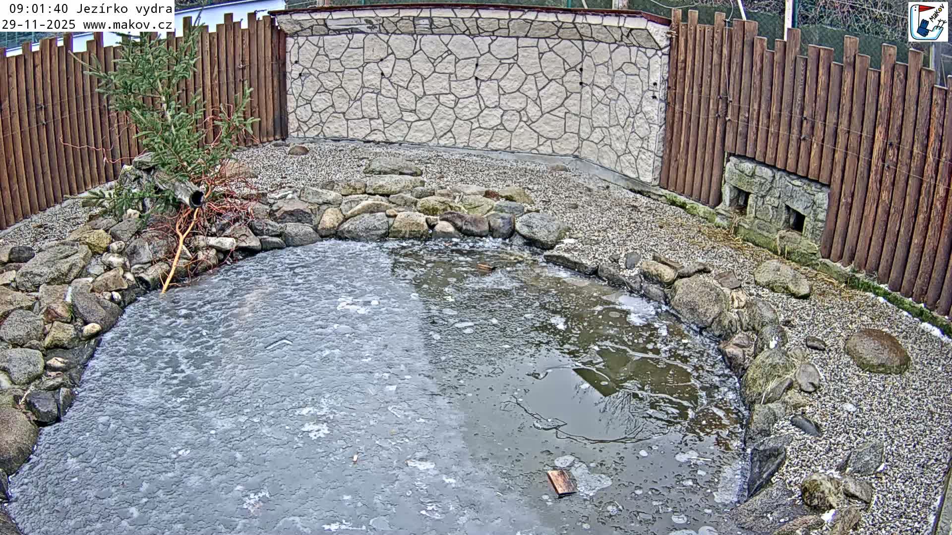 An outdoor pond, largely covered in ice with patches of open water, is surrounded by rocks and gravel on a cold, overcast day, with a wooden fence and a decorative stone wall in the background.