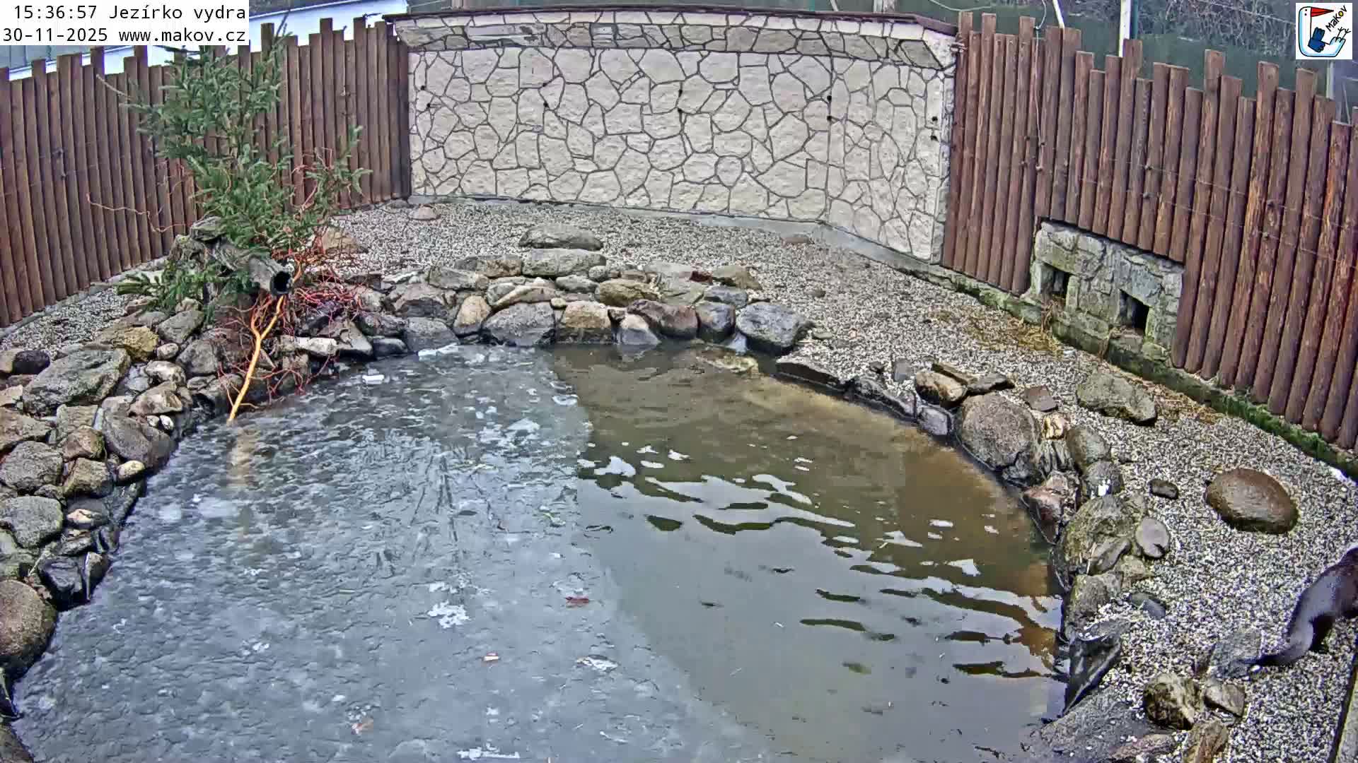 Pisek, Makov Animal Rescue Station Lake Live Cam - Cizova, Pisek, Juhočeský Kraj (South Bohemian), Czechia