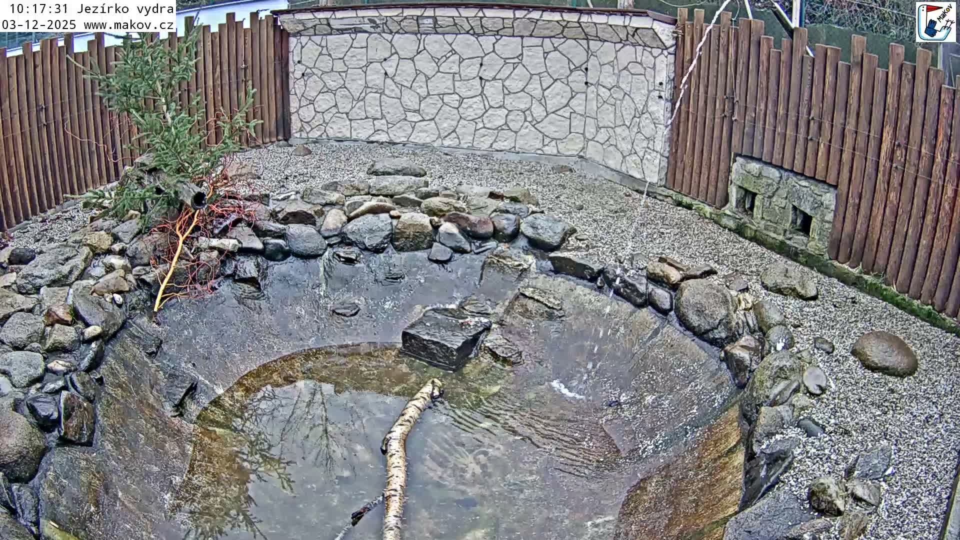 A rocky pond with flowing water is central to an outdoor enclosure featuring gravel banks, a small evergreen tree, and a wooden fence along a stone wall under an overcast sky.