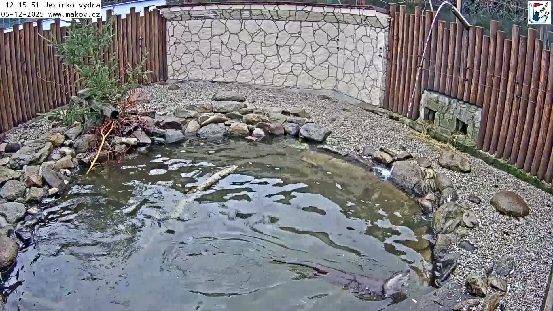 Pisek, Makov Animal Rescue Station Lake Live Cam - Cizova, Pisek, Juhočeský Kraj (South Bohemian), Czechia