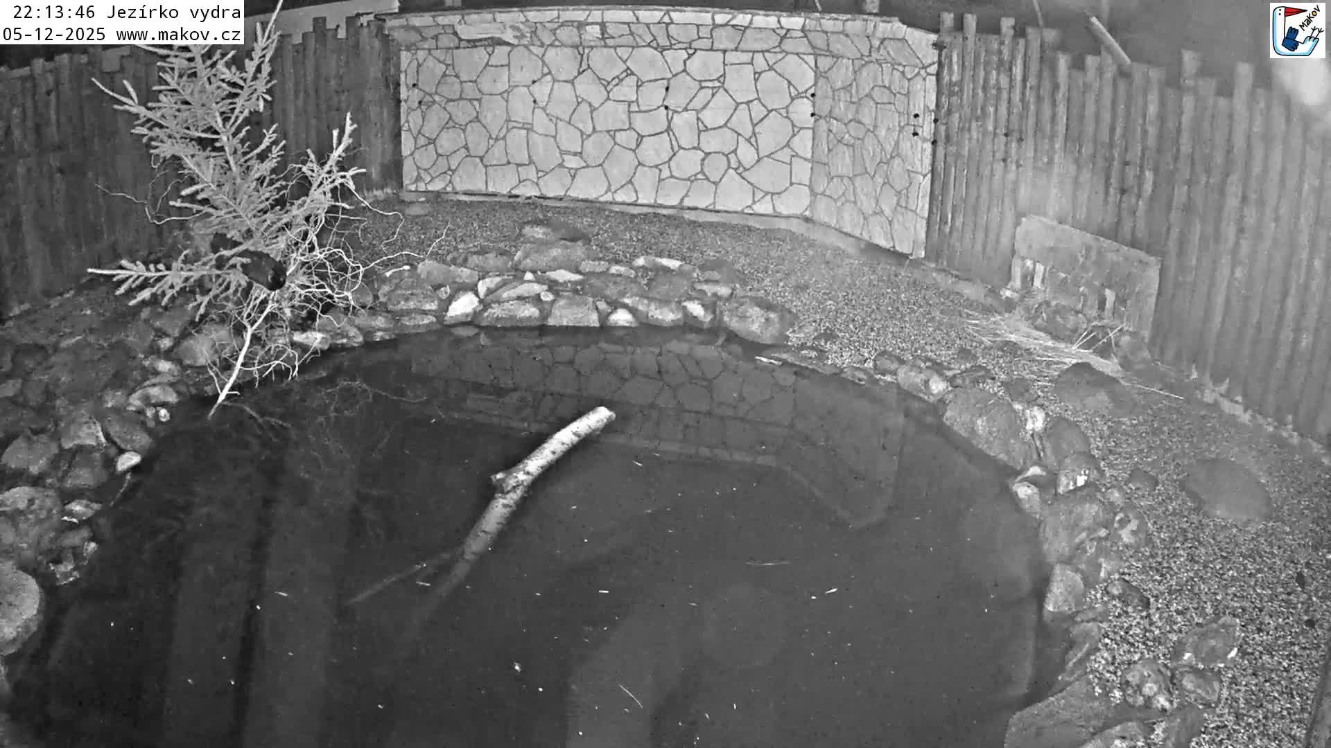 Pisek, Makov Animal Rescue Station Lake Live Cam - Cizova, Pisek, Juhočeský Kraj (South Bohemian), Czechia