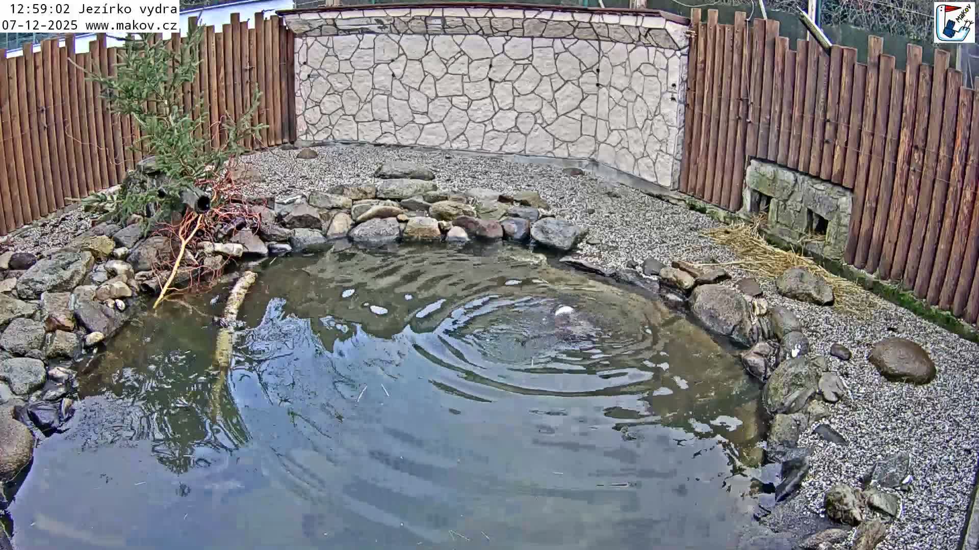 Pisek, Makov Animal Rescue Station Lake Live Cam - Cizova, Pisek, Juhočeský Kraj (South Bohemian), Czechia