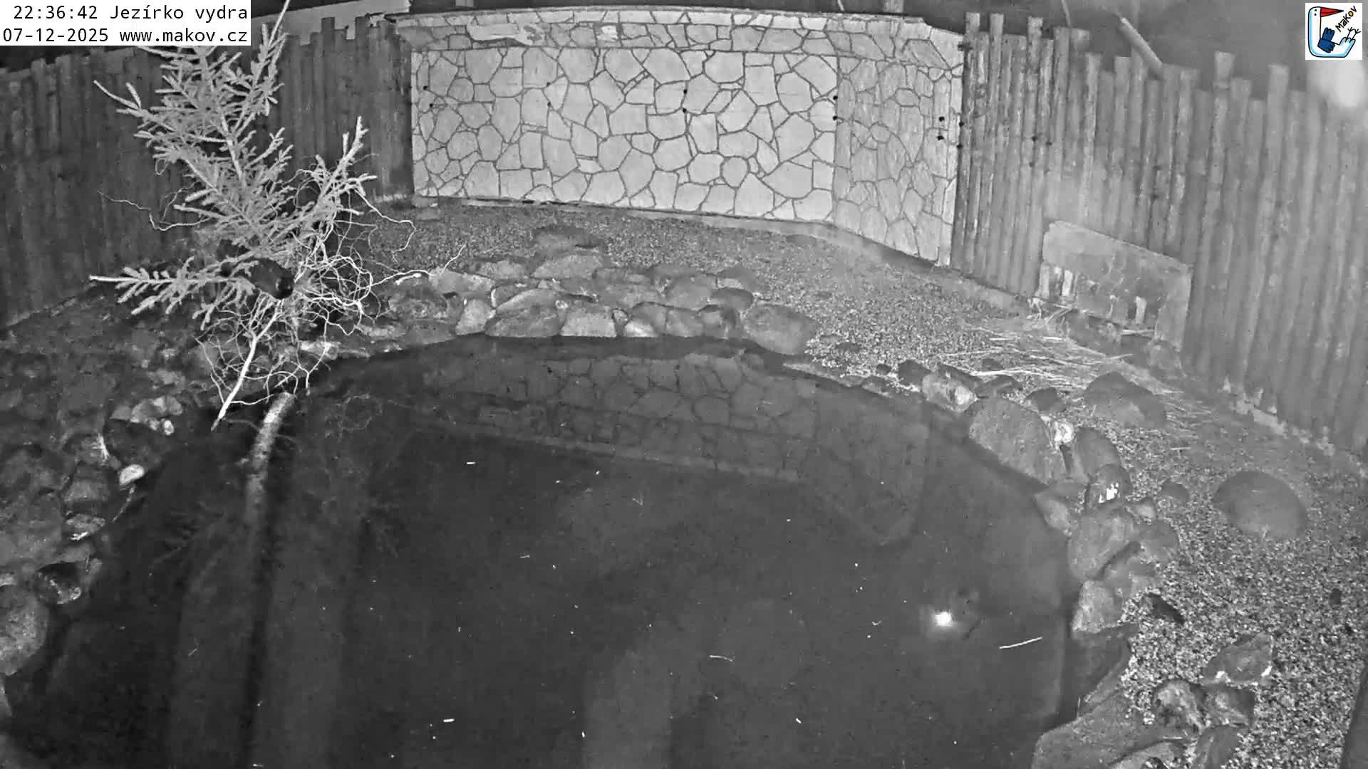 Pisek, Makov Animal Rescue Station Lake Live Cam - Cizova, Pisek, Juhočeský Kraj (South Bohemian), Czechia