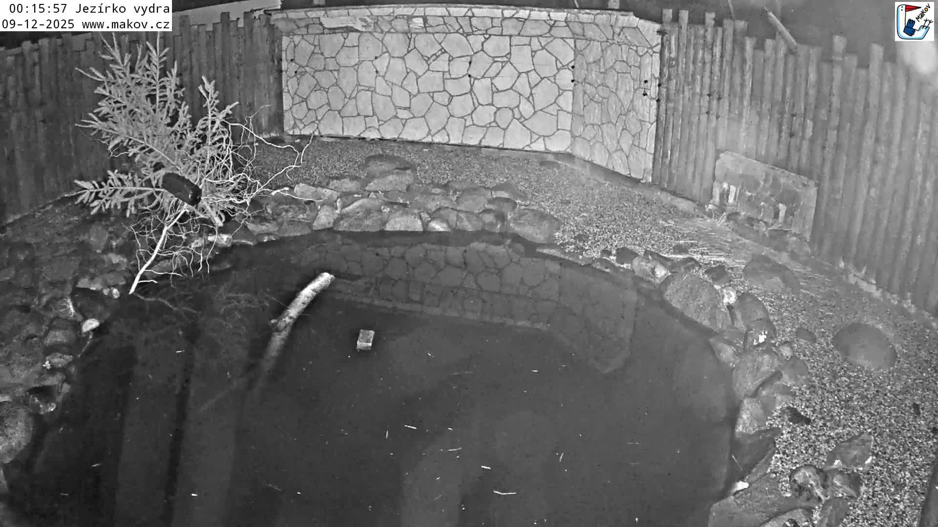 Pisek, Makov Animal Rescue Station Lake Live Cam - Cizova, Pisek, Juhočeský Kraj (South Bohemian), Czechia