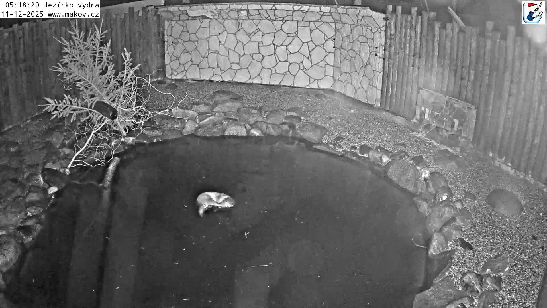 Pisek, Makov Animal Rescue Station Lake Live Cam - Cizova, Pisek, Juhočeský Kraj (South Bohemian), Czechia