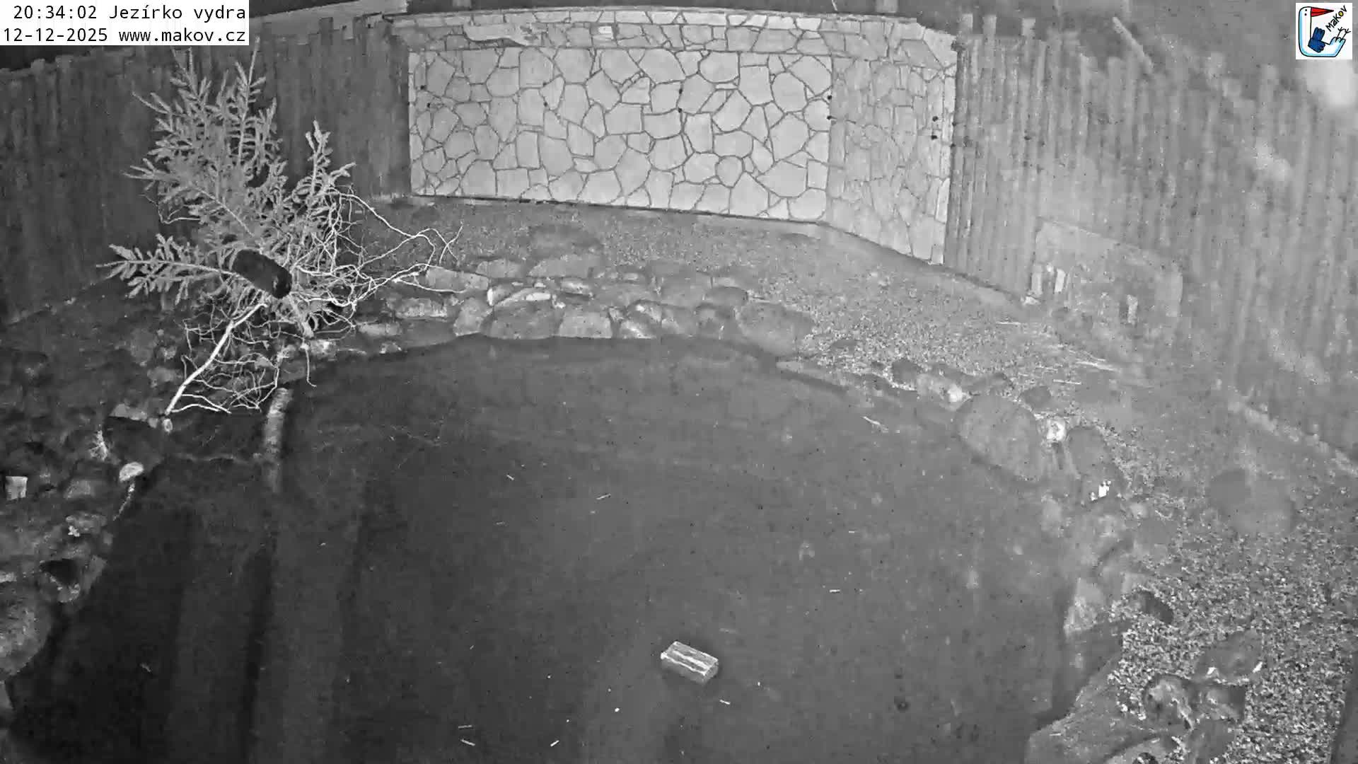 Pisek, Makov Animal Rescue Station Lake Live Cam - Cizova, Pisek, Juhočeský Kraj (South Bohemian), Czechia