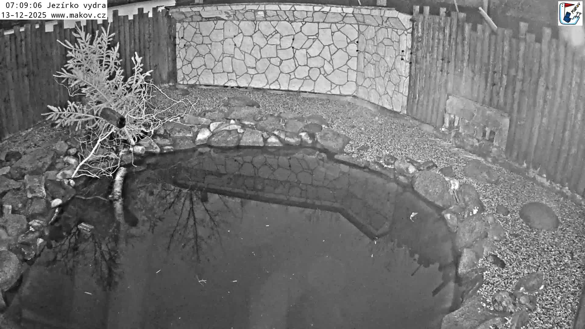 Pisek, Makov Animal Rescue Station Lake Live Cam - Cizova, Pisek, Juhočeský Kraj (South Bohemian), Czechia