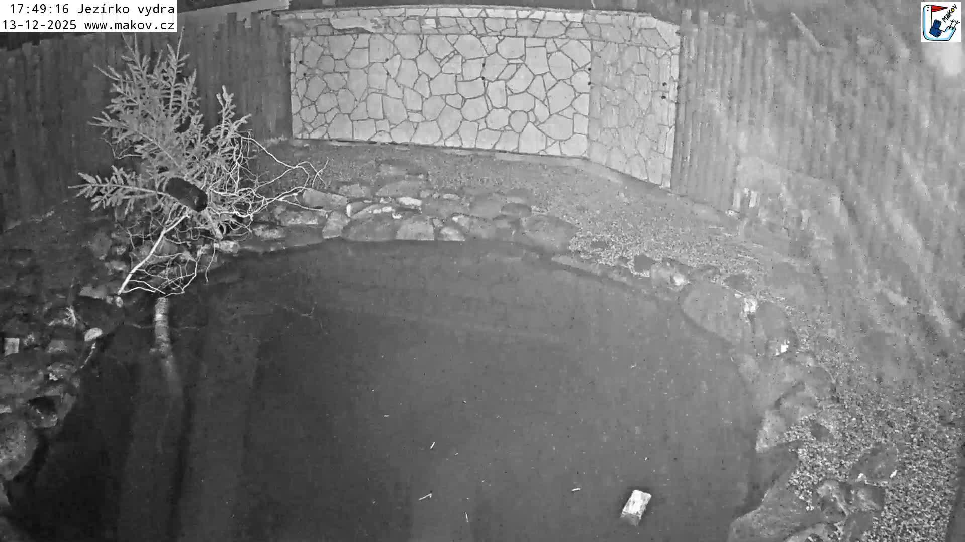 Pisek, Makov Animal Rescue Station Lake Live Cam - Cizova, Pisek, Juhočeský Kraj (South Bohemian), Czechia