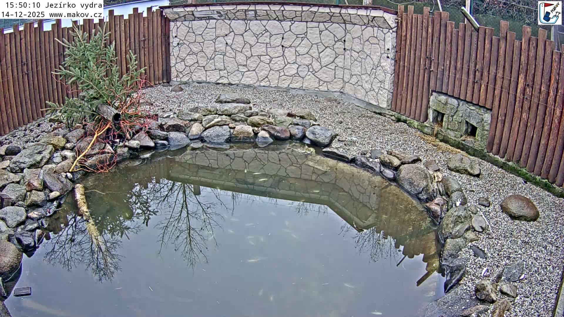 Pisek, Makov Animal Rescue Station Lake Live Cam - Cizova, Pisek, Juhočeský Kraj (South Bohemian), Czechia