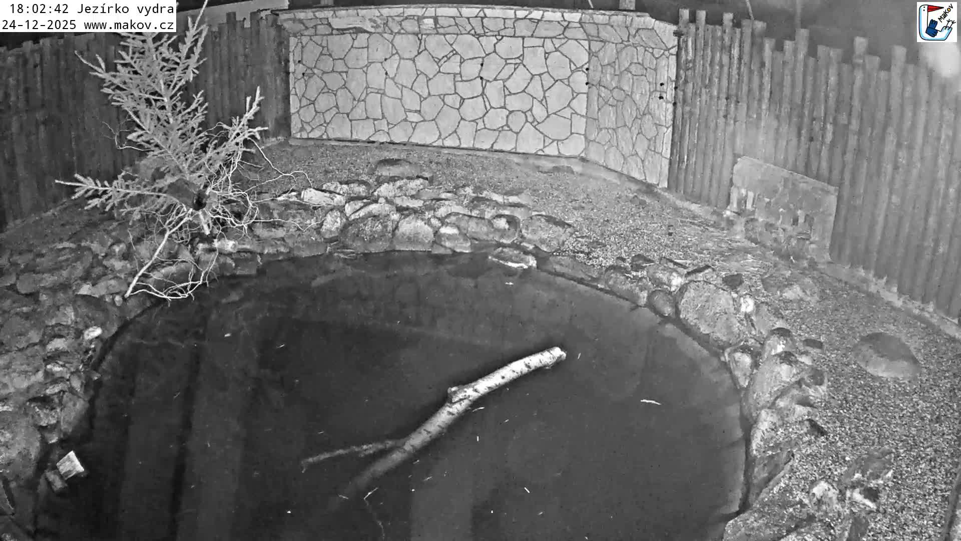 A rocky pond with flowing water is central to an outdoor enclosure featuring gravel banks, a small evergreen tree, and a wooden fence along a stone wall under an overcast sky.