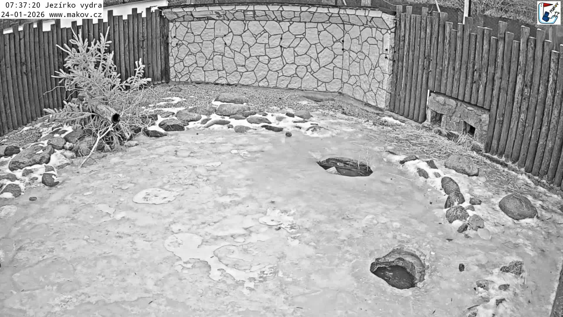 Pisek, Makov Animal Rescue Station Lake Live Cam - Cizova, Pisek, Juhočeský Kraj (South Bohemian), Czechia