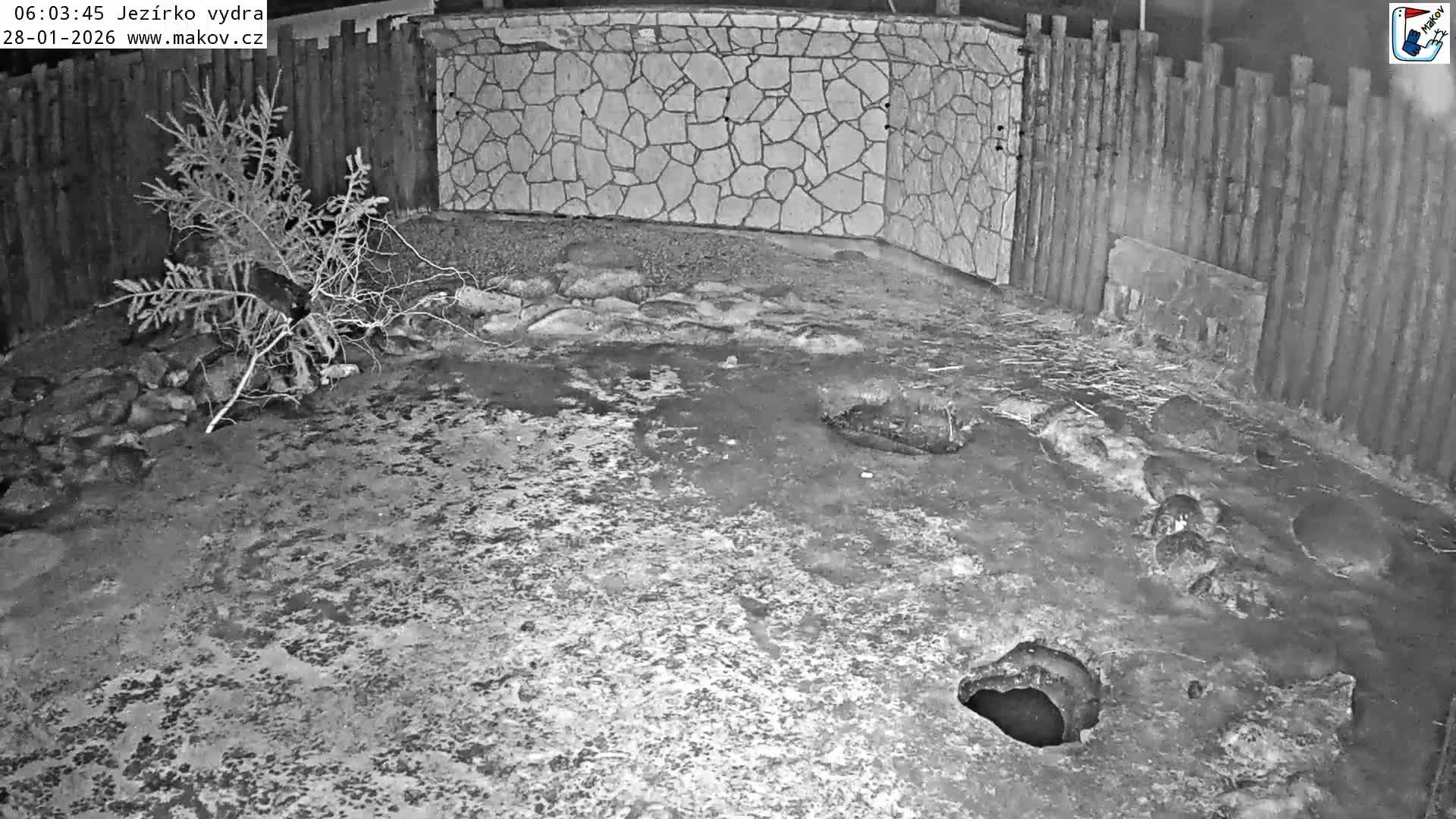 Pisek, Makov Animal Rescue Station Lake Live Cam - Cizova, Pisek, Juhočeský Kraj (South Bohemian), Czechia