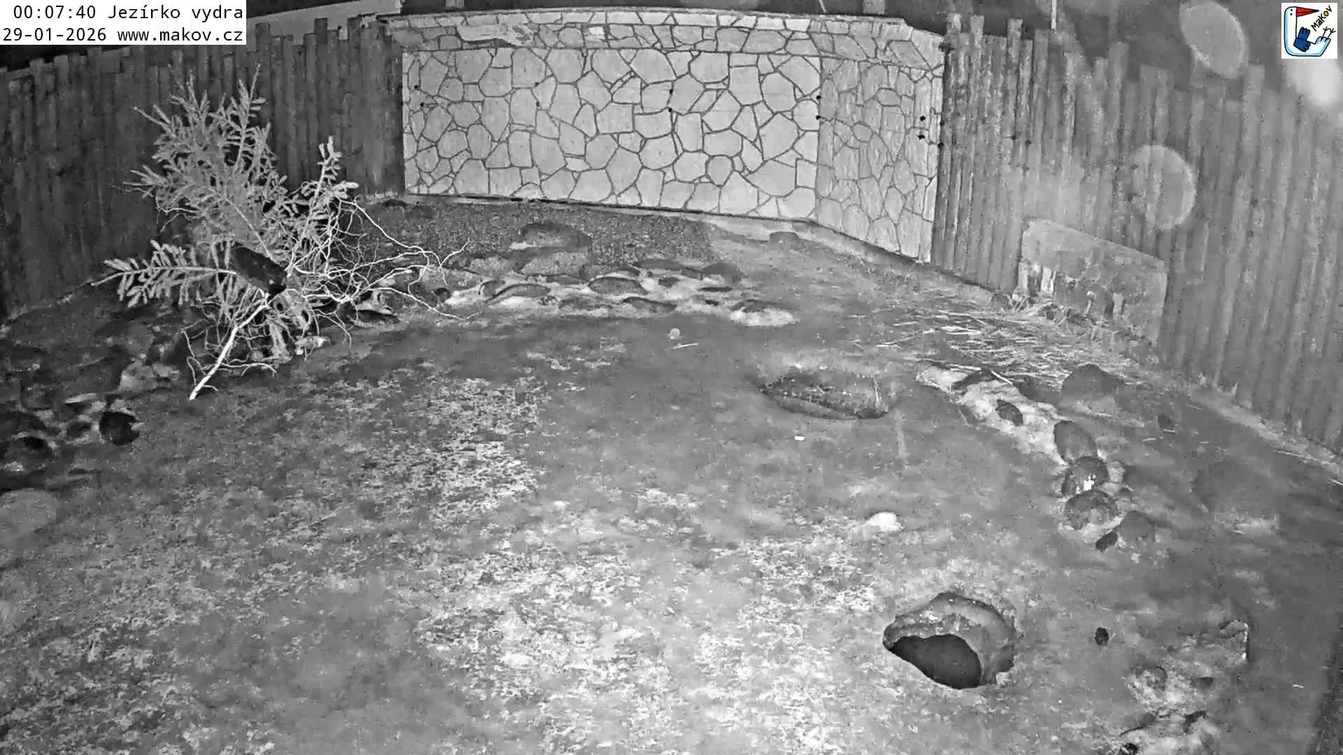 Pisek, Makov Animal Rescue Station Lake Live Cam - Cizova, Pisek, Juhočeský Kraj (South Bohemian), Czechia
