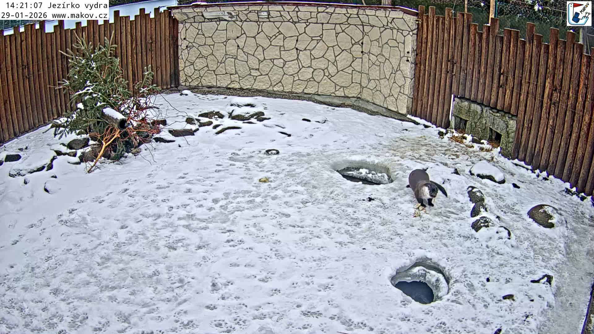 Pisek, Makov Animal Rescue Station Lake Live Cam - Cizova, Pisek, Juhočeský Kraj (South Bohemian), Czechia