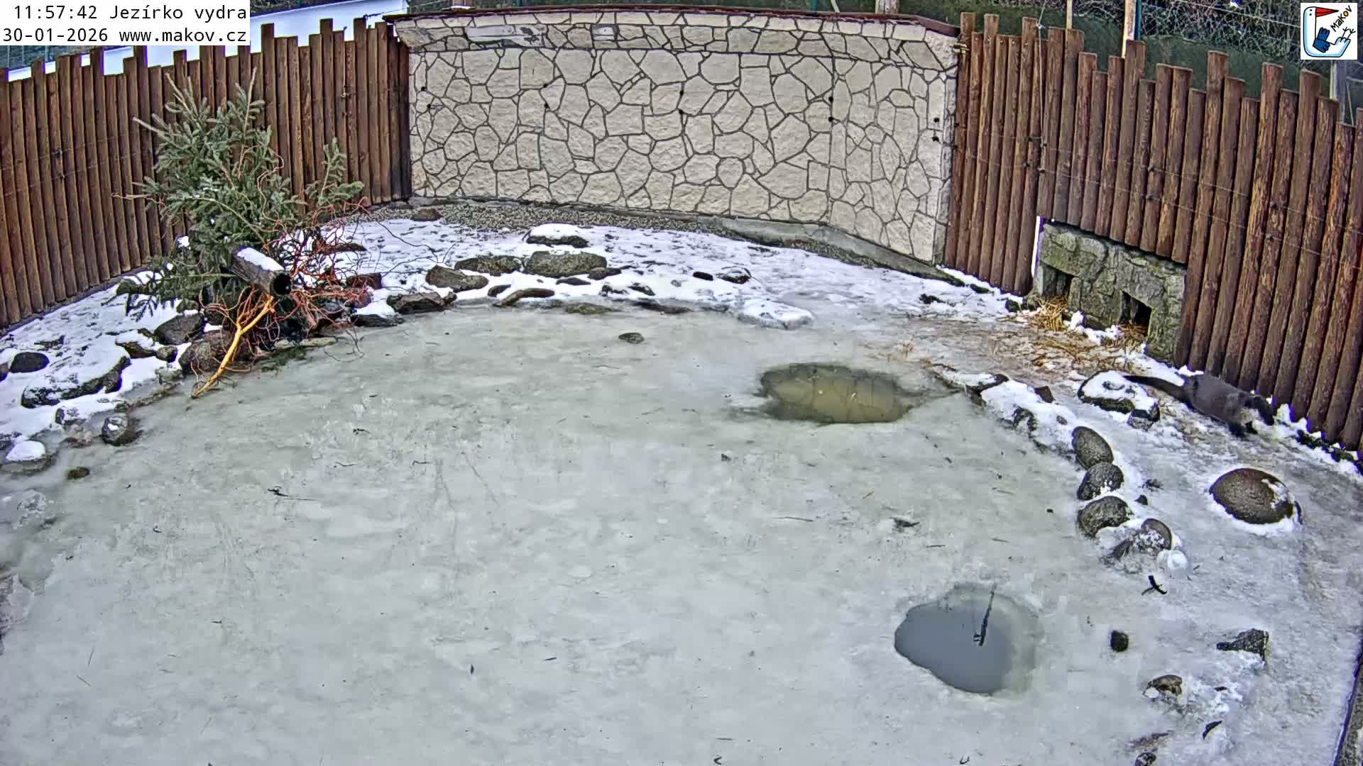 Pisek, Makov Animal Rescue Station Lake Live Cam - Cizova, Pisek, Juhočeský Kraj (South Bohemian), Czechia