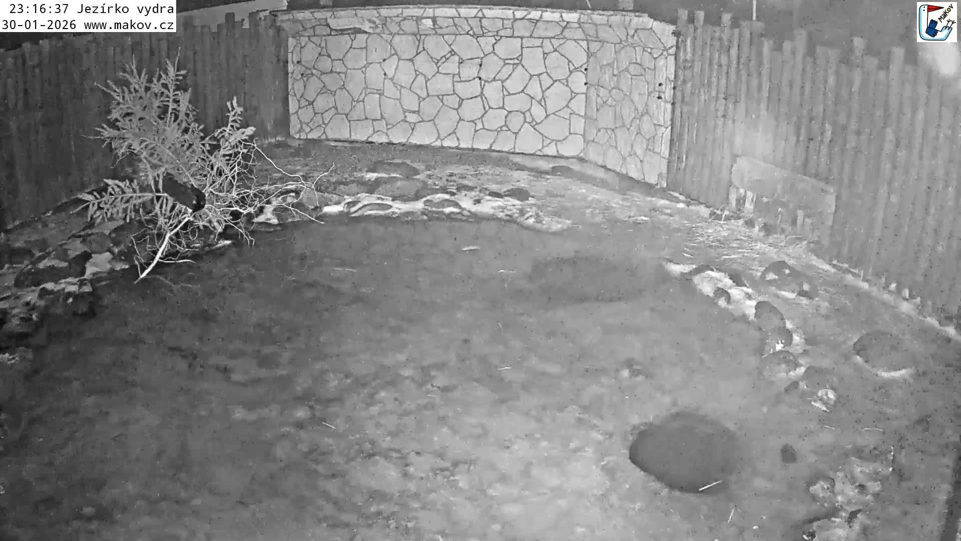 Pisek, Makov Animal Rescue Station Lake Live Cam - Cizova, Pisek, Juhočeský Kraj (South Bohemian), Czechia