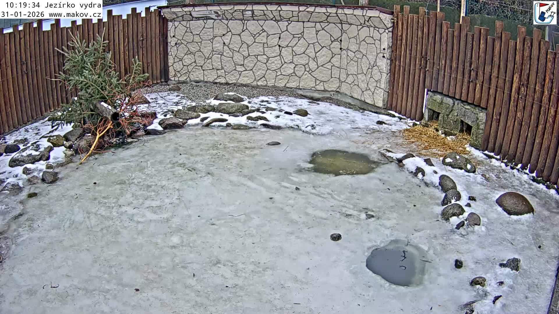 Pisek, Makov Animal Rescue Station Lake Live Cam - Cizova, Pisek, Juhočeský Kraj (South Bohemian), Czechia