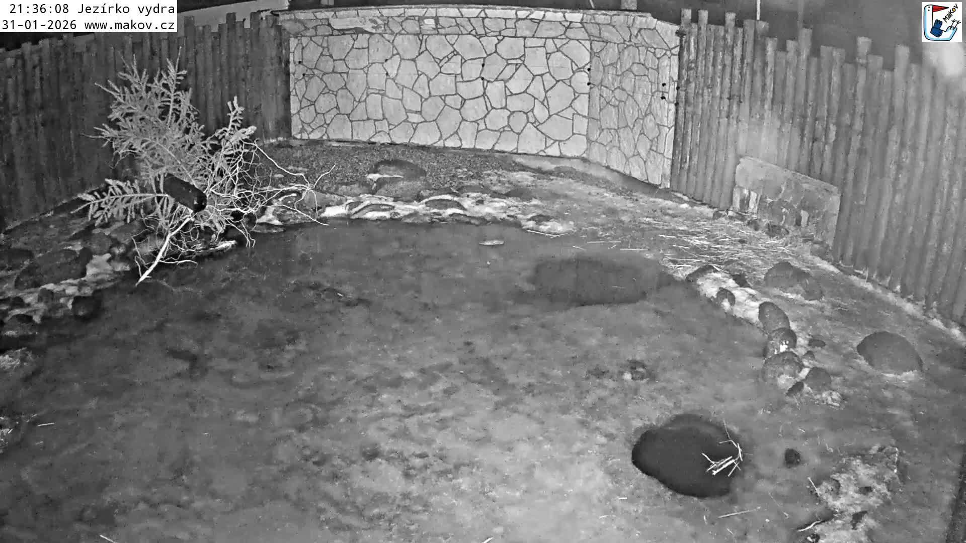 Pisek, Makov Animal Rescue Station Lake Live Cam - Cizova, Pisek, Juhočeský Kraj (South Bohemian), Czechia