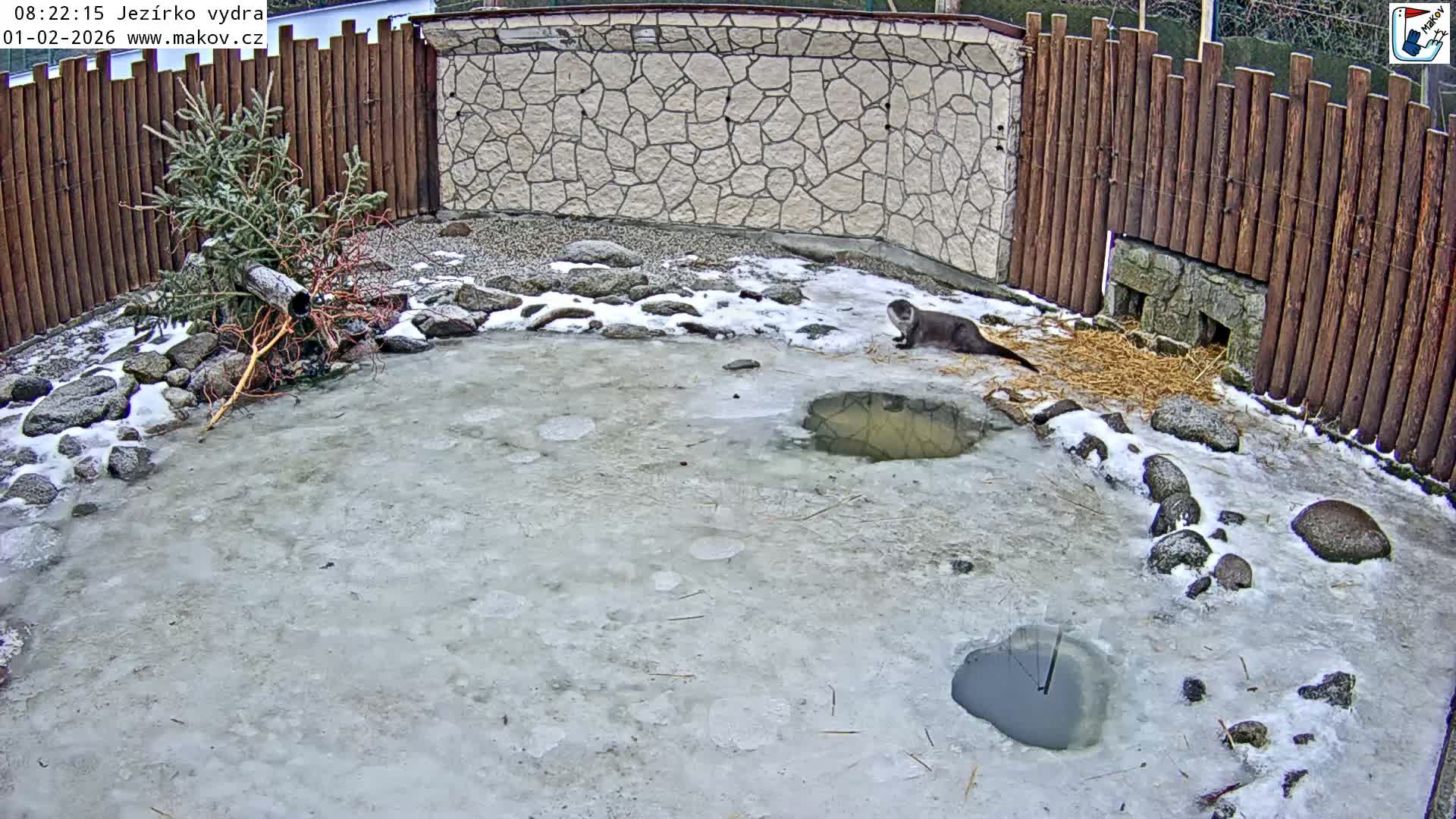Pisek, Makov Animal Rescue Station Lake Live Cam - Cizova, Pisek, Juhočeský Kraj (South Bohemian), Czechia