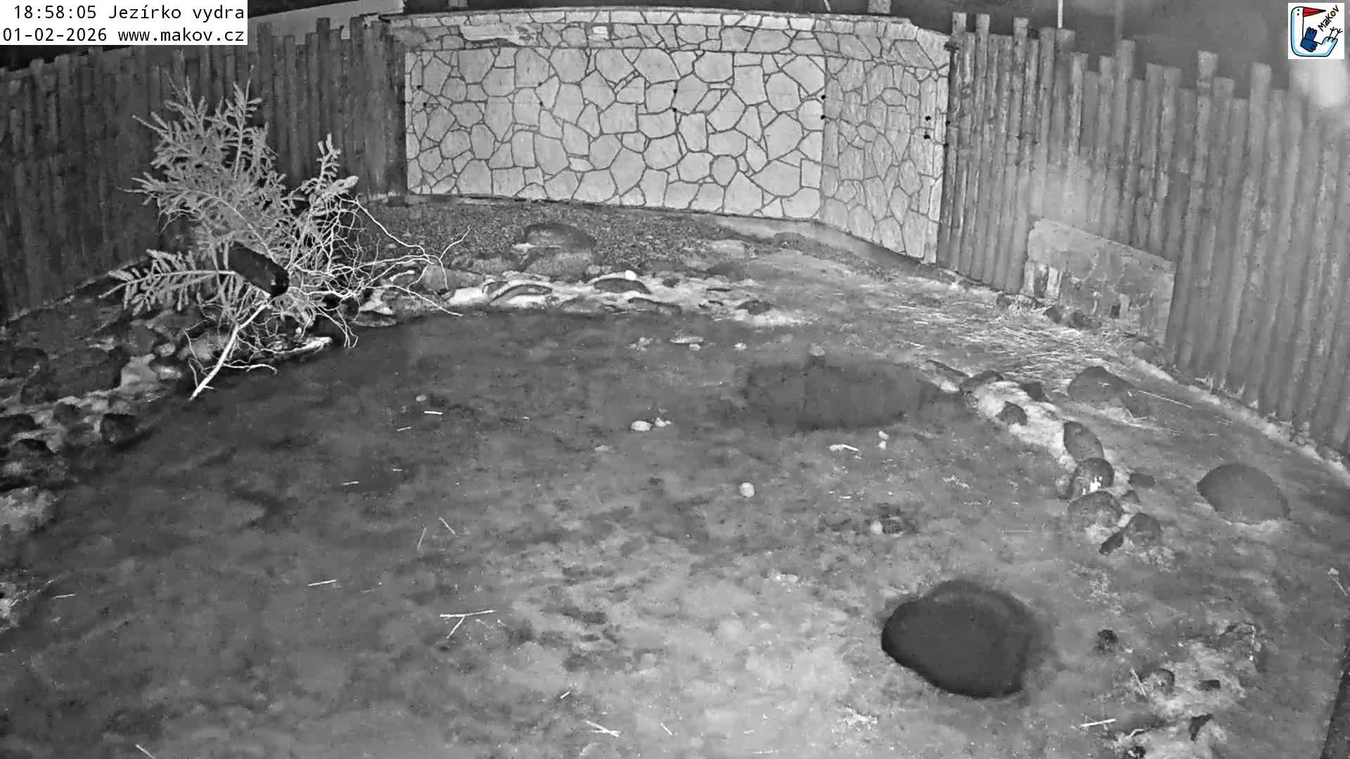 Pisek, Makov Animal Rescue Station Lake Live Cam - Cizova, Pisek, Juhočeský Kraj (South Bohemian), Czechia