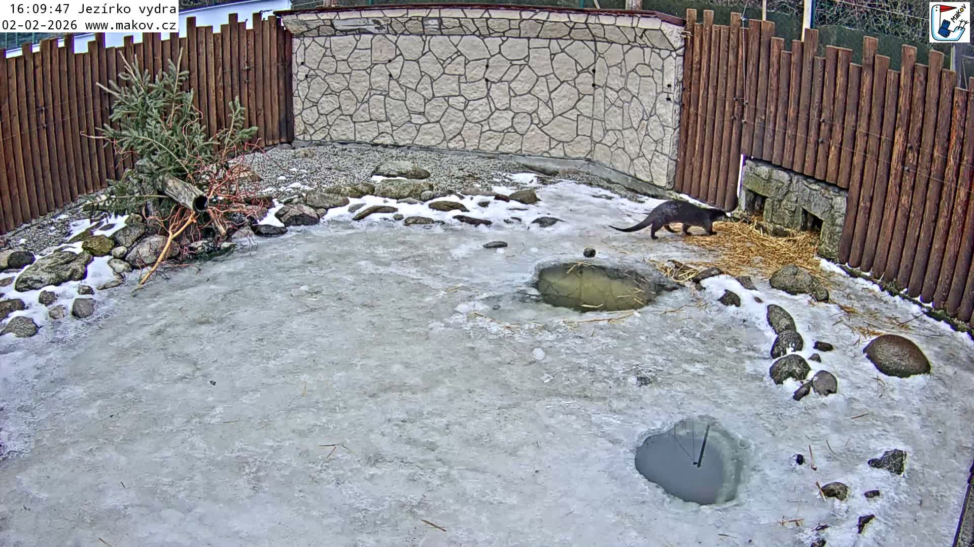 Pisek, Makov Animal Rescue Station Lake Live Cam - Cizova, Pisek, Juhočeský Kraj (South Bohemian), Czechia