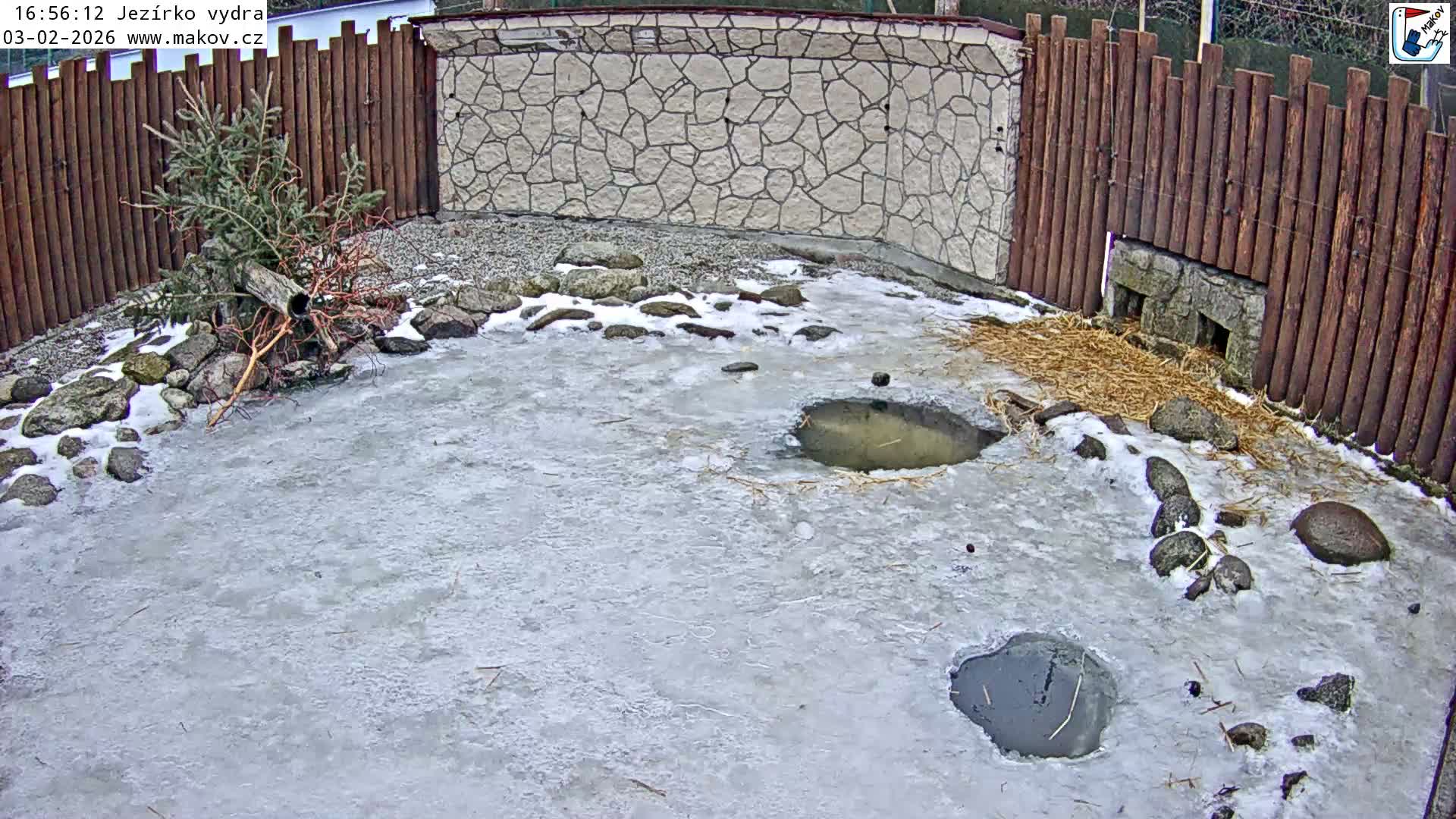Pisek, Makov Animal Rescue Station Lake Live Cam - Cizova, Pisek, Juhočeský Kraj (South Bohemian), Czechia