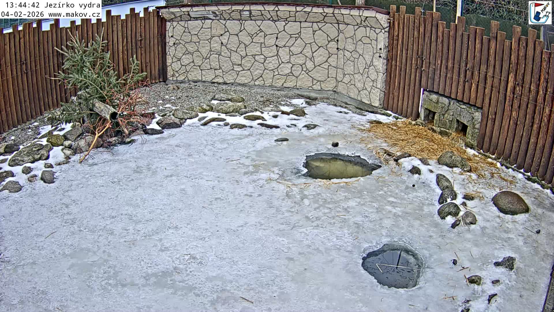 Pisek, Makov Animal Rescue Station Lake Live Cam - Cizova, Pisek, Juhočeský Kraj (South Bohemian), Czechia