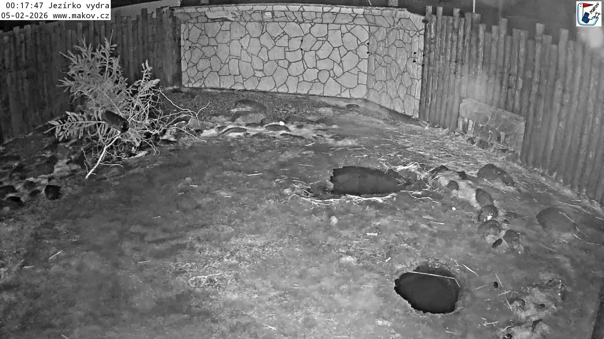 Pisek, Makov Animal Rescue Station Lake Live Cam - Cizova, Pisek, Juhočeský Kraj (South Bohemian), Czechia