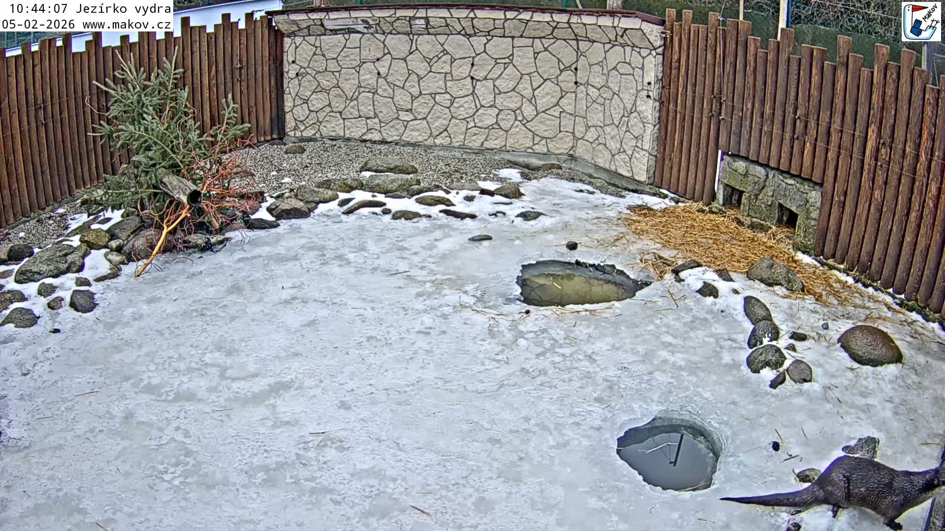 Pisek, Makov Animal Rescue Station Lake Live Cam - Cizova, Pisek, Juhočeský Kraj (South Bohemian), Czechia