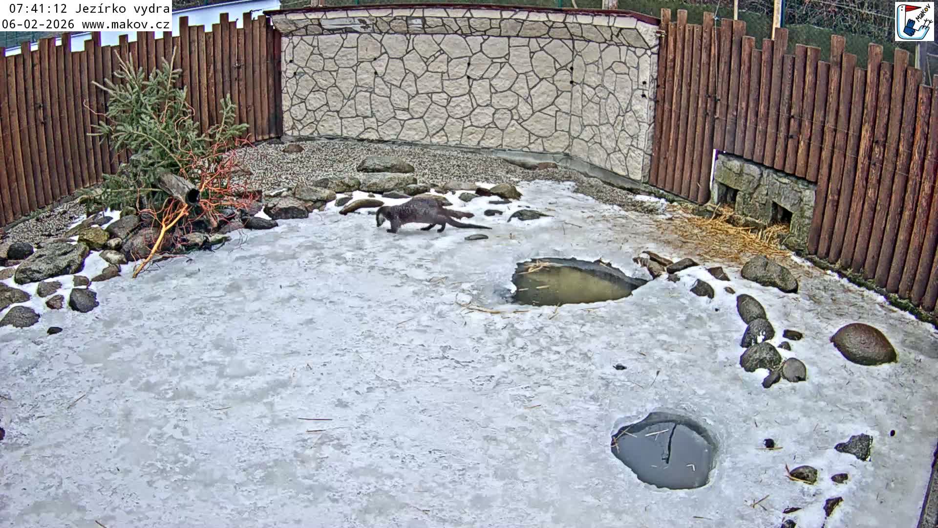 Pisek, Makov Animal Rescue Station Lake Live Cam - Cizova, Pisek, Juhočeský Kraj (South Bohemian), Czechia