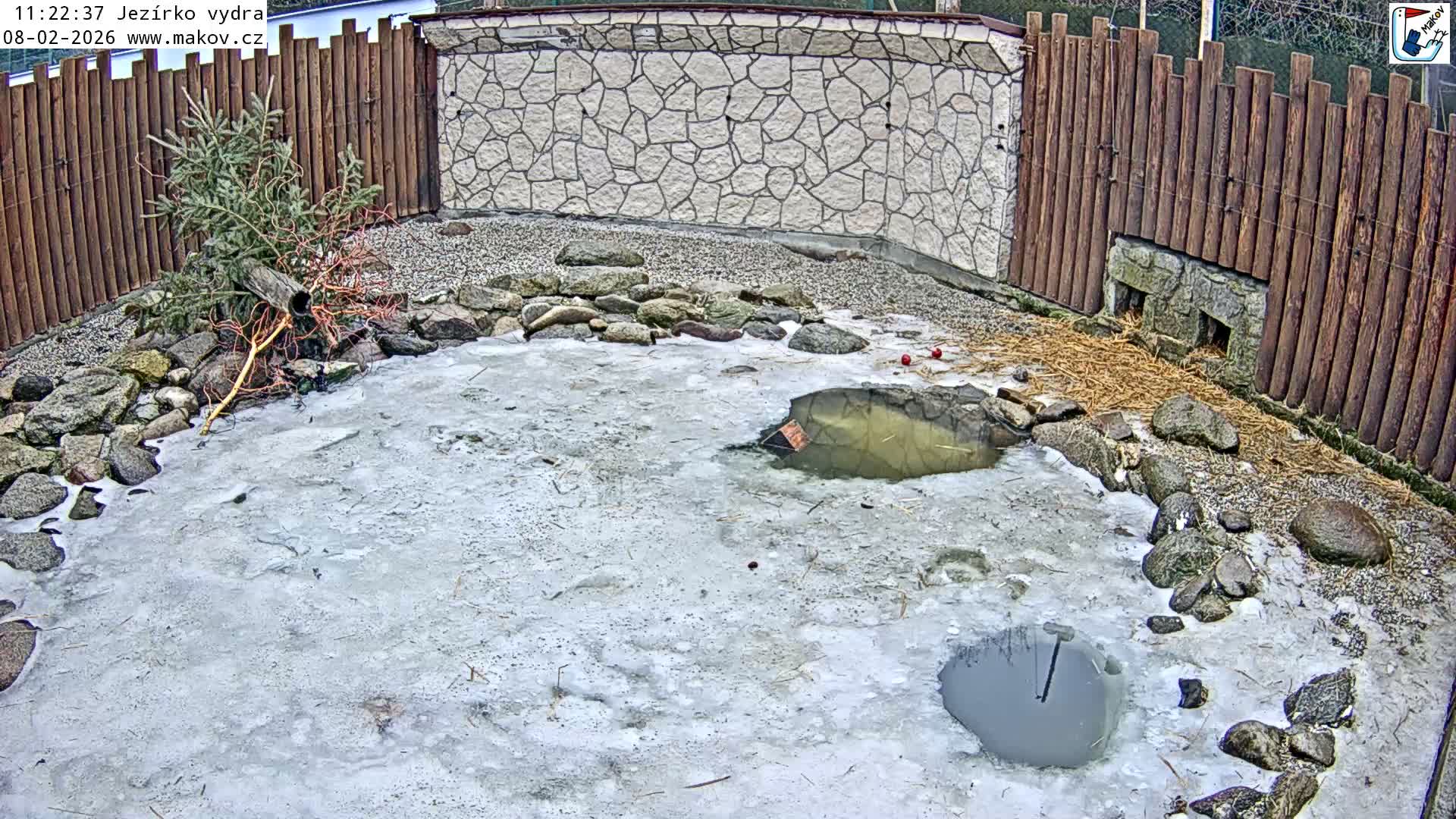 Pisek, Makov Animal Rescue Station Lake Live Cam - Cizova, Pisek, Juhočeský Kraj (South Bohemian), Czechia