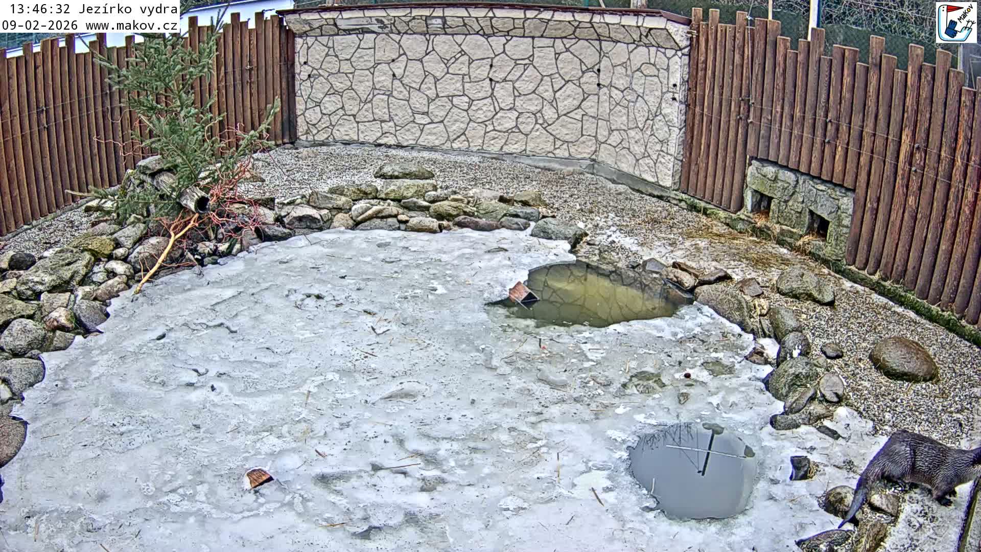 Pisek, Makov Animal Rescue Station Lake Live Cam - Cizova, Pisek, Juhočeský Kraj (South Bohemian), Czechia