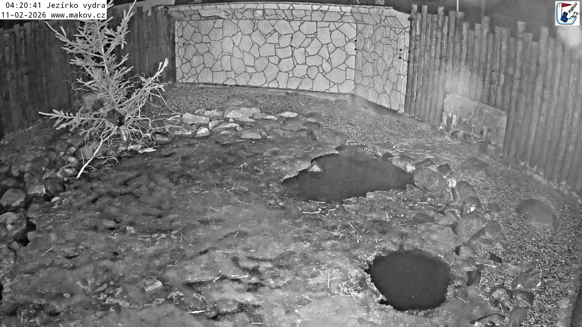 Pisek, Makov Animal Rescue Station Lake Live Cam - Cizova, Pisek, Juhočeský Kraj (South Bohemian), Czechia