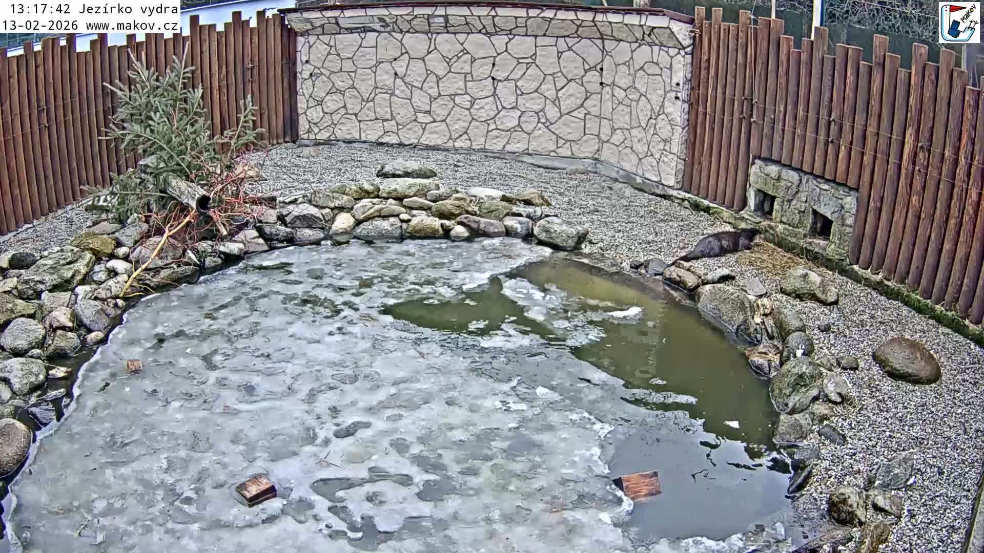 Pisek, Makov Animal Rescue Station Lake Live Cam - Cizova, Pisek, Juhočeský Kraj (South Bohemian), Czechia