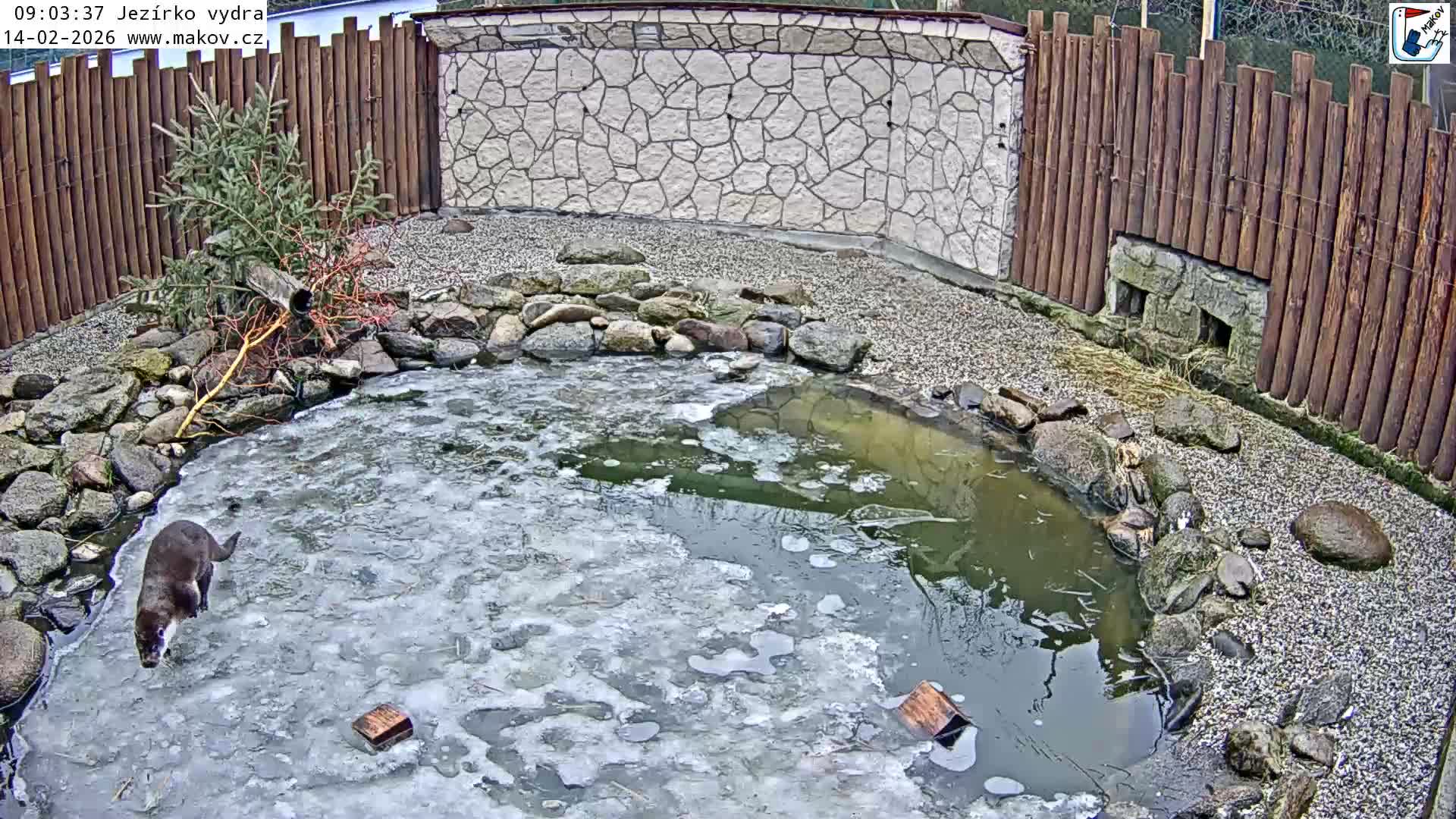 Pisek, Makov Animal Rescue Station Lake Live Cam - Cizova, Pisek, Juhočeský Kraj (South Bohemian), Czechia