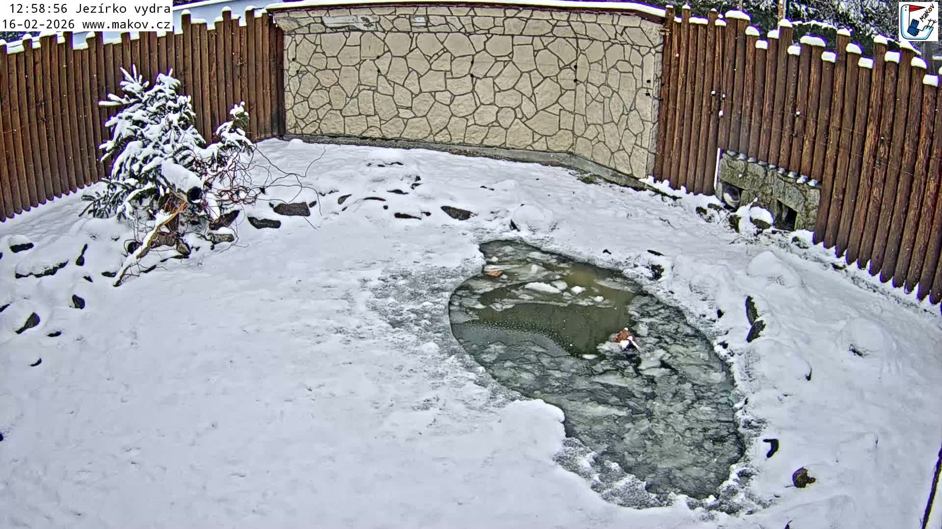 Pisek, Makov Animal Rescue Station Lake Live Cam - Cizova, Pisek, Juhočeský Kraj (South Bohemian), Czechia