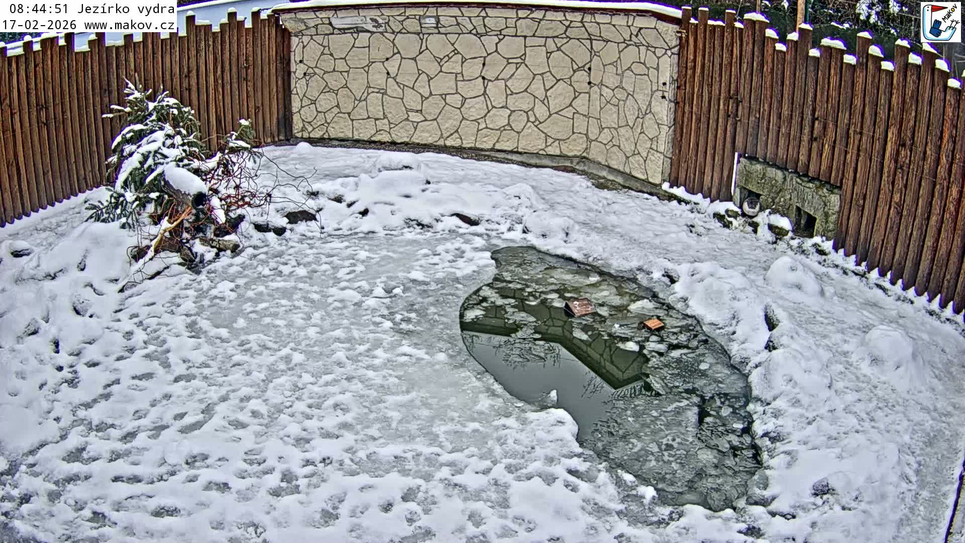 Pisek, Makov Animal Rescue Station Lake Live Cam - Cizova, Pisek, Juhočeský Kraj (South Bohemian), Czechia